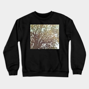 Reverie of a Tree Crewneck Sweatshirt